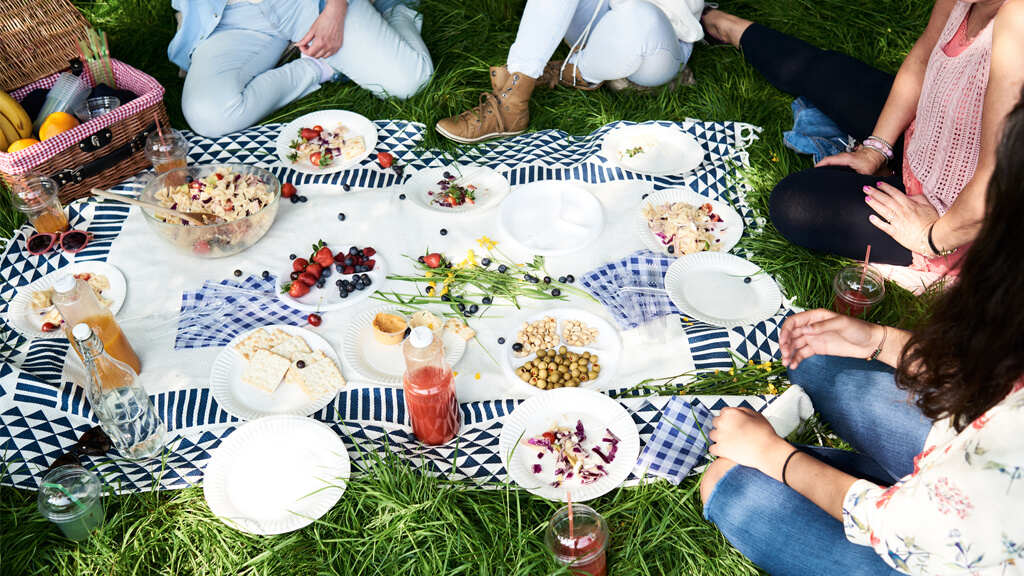 YOUR PICNIC GAME IS ABOUT TO GO NEXT-LEVEL