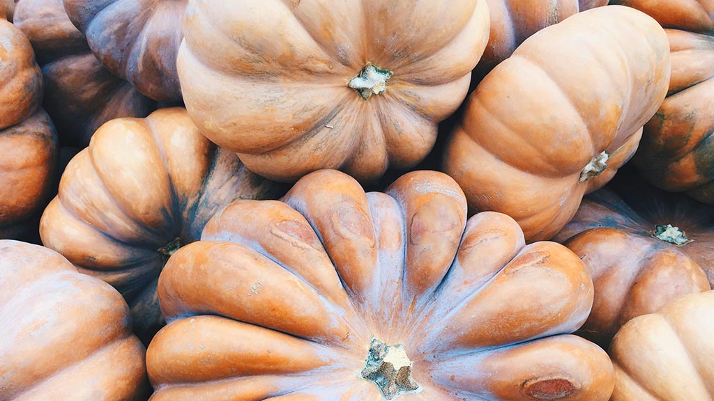 A WEEK OF PUMPKIN RECIPES TO GET YOU THROUGH ANY HOLIDAY GATHERING